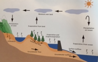 Hydrology of landscape